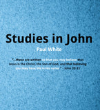 Studies in John Sermon Series FlashDrive